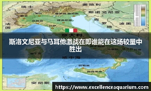 斯洛文尼亚与马耳他激战在即谁能在这场较量中胜出