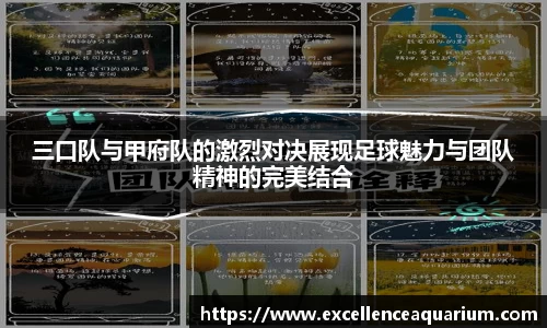 三口队与甲府队的激烈对决展现足球魅力与团队精神的完美结合