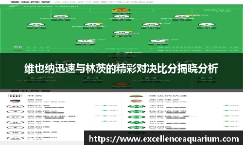 维也纳迅速与林茨的精彩对决比分揭晓分析