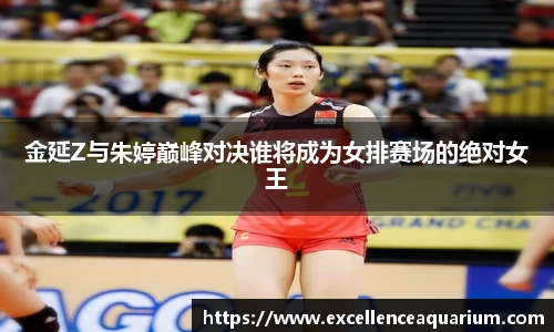 金延Z与朱婷巅峰对决谁将成为女排赛场的绝对女王
