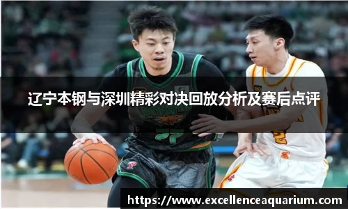 辽宁本钢与深圳精彩对决回放分析及赛后点评