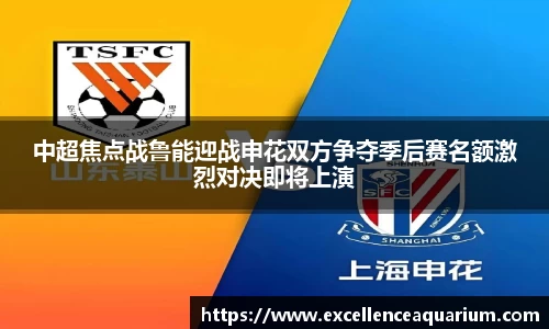 伟德体育